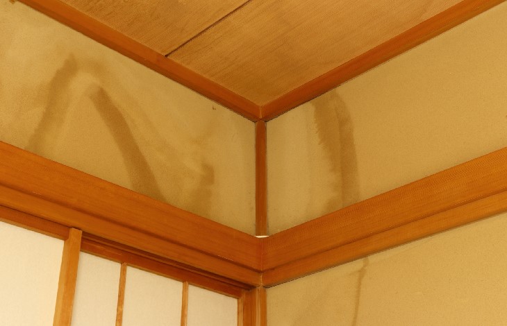 保険期間が1年間となる部分